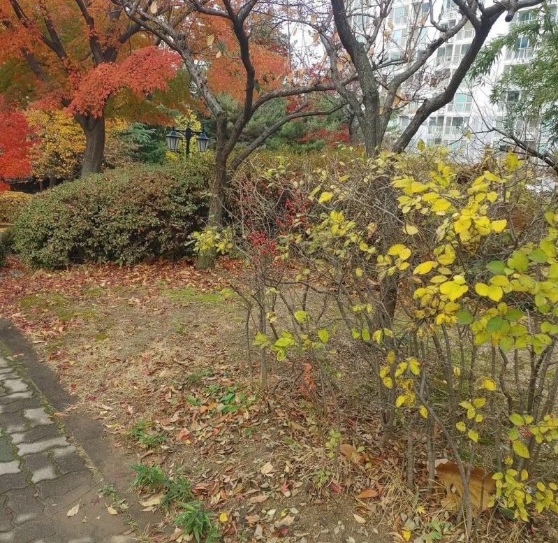 컨텐츠파일
