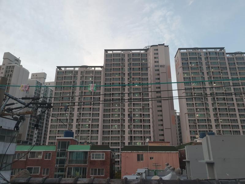 컨텐츠파일