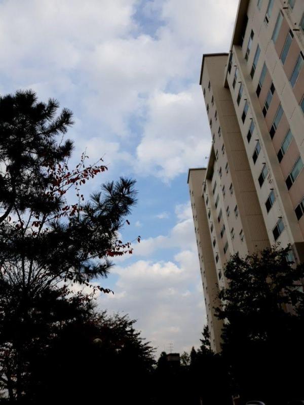 컨텐츠파일