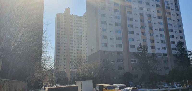 컨텐츠파일