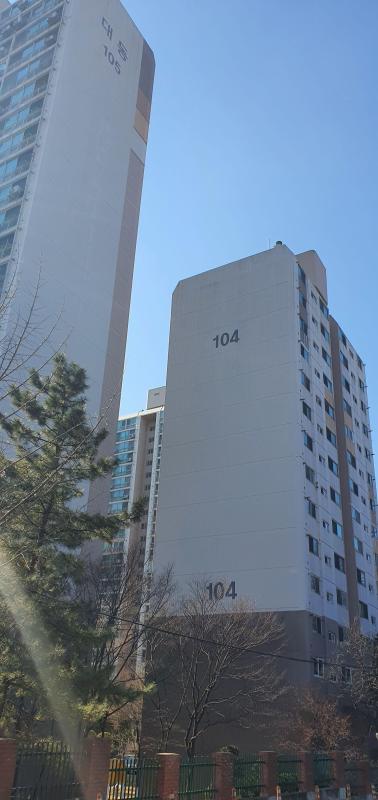 컨텐츠파일