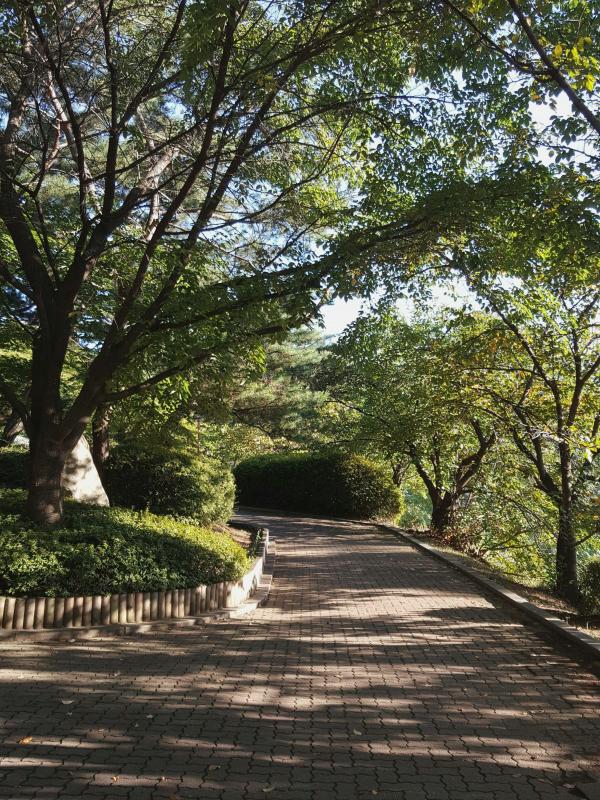 컨텐츠파일