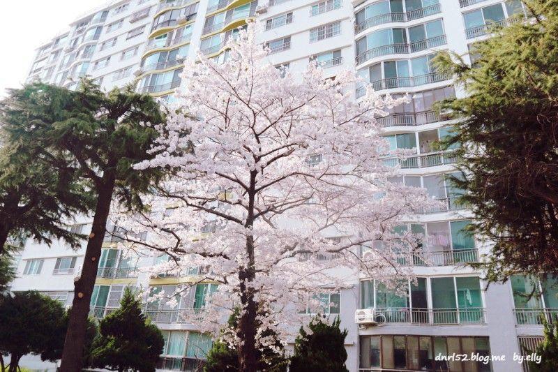 컨텐츠파일