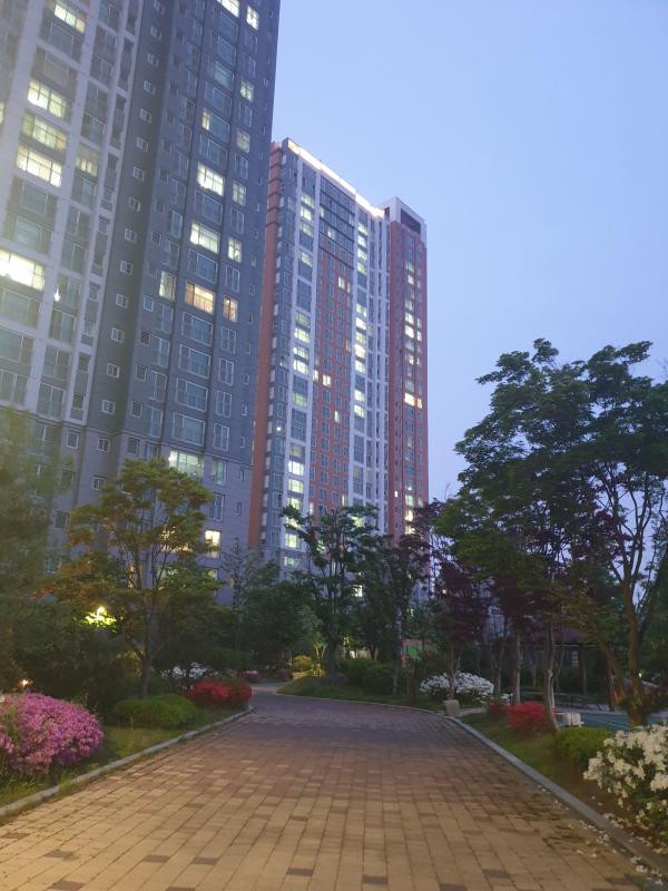 컨텐츠파일