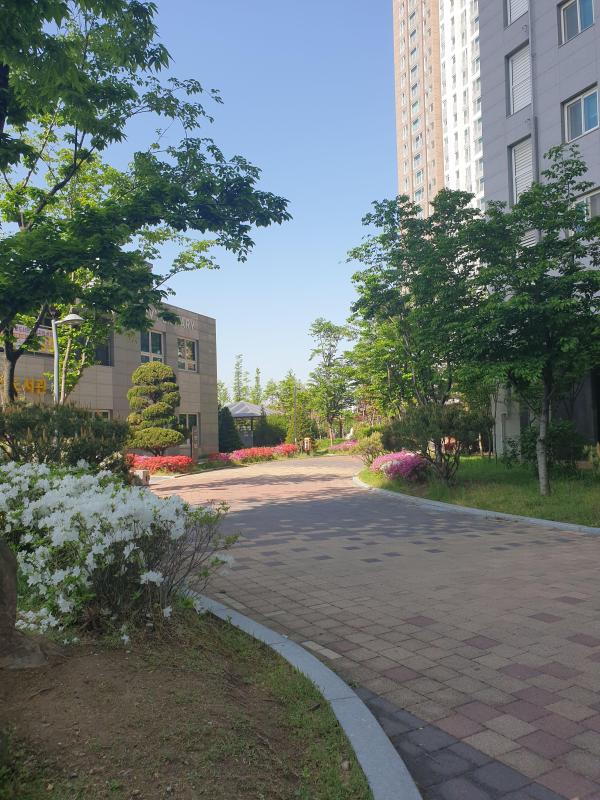 컨텐츠파일