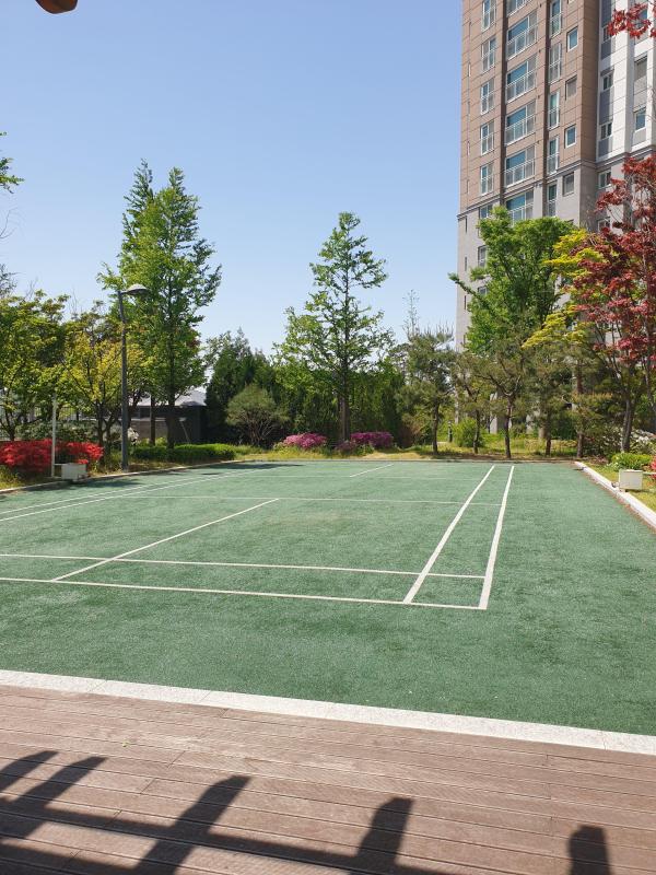 컨텐츠파일