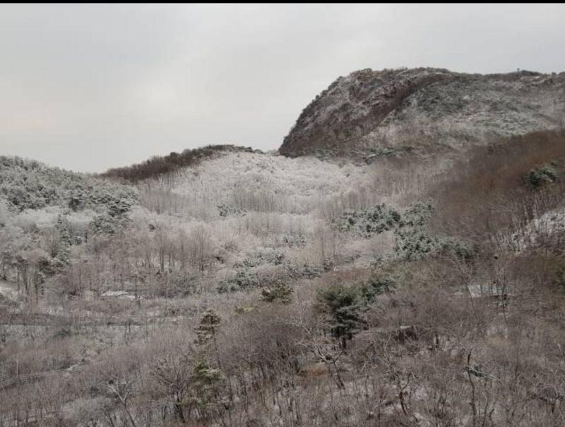 컨텐츠파일