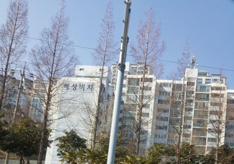 공은하