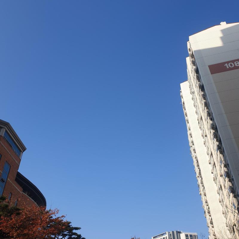 컨텐츠파일