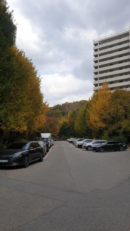 컨텐츠파일