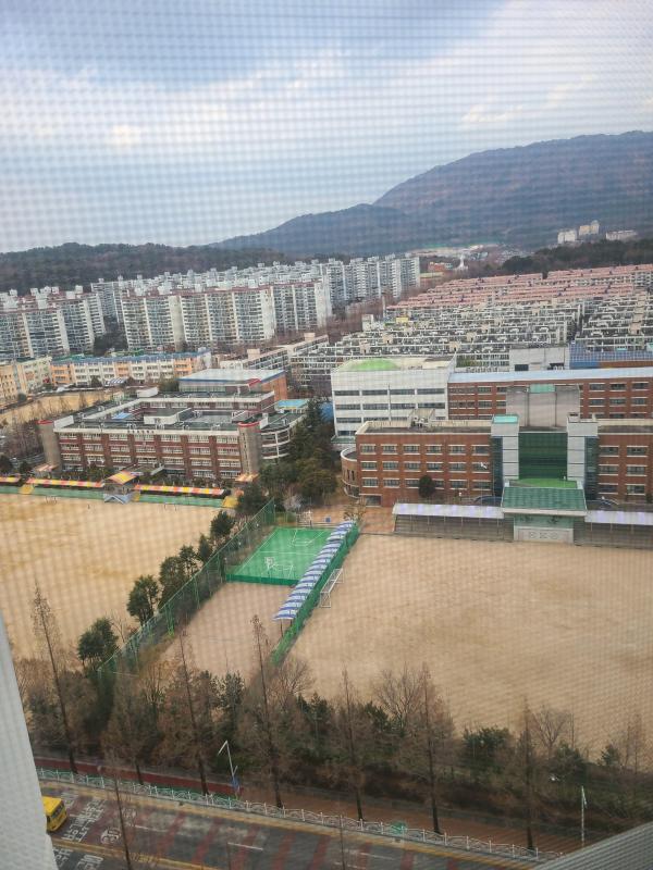 스카이블루