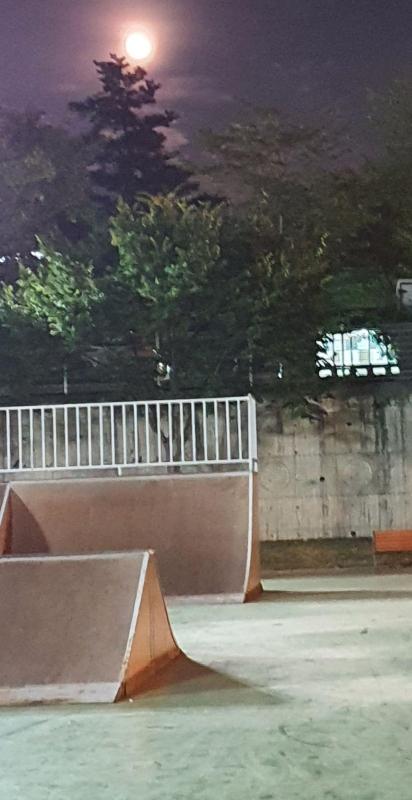 컨텐츠파일