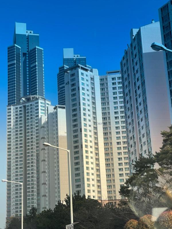컨텐츠파일
