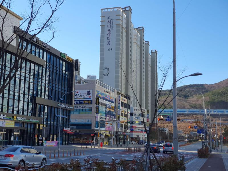 정윤정
