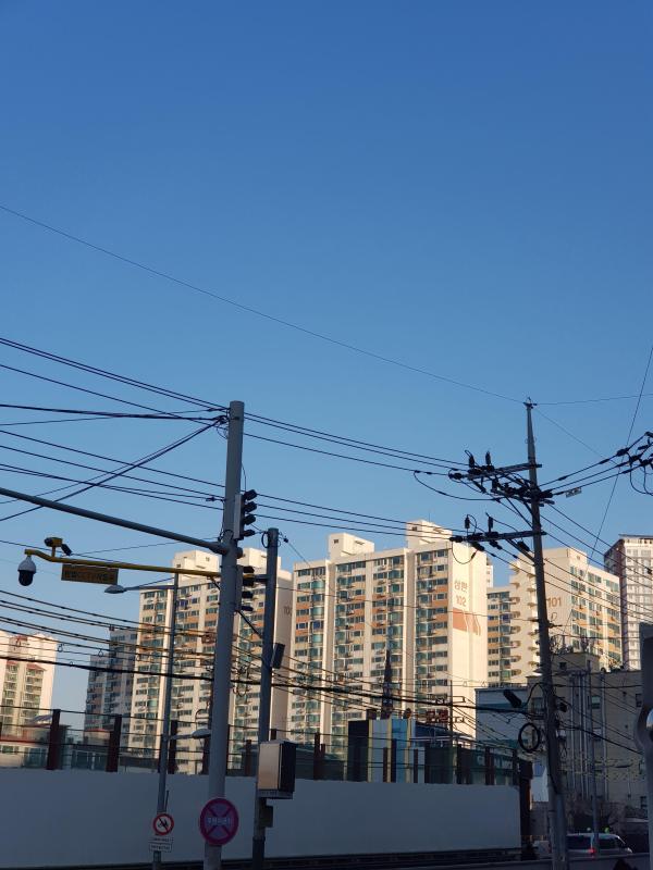 컨텐츠파일