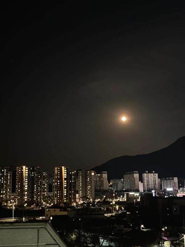 루이오빠