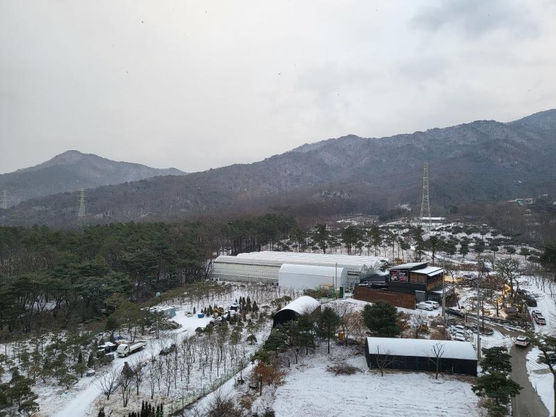 컨텐츠파일