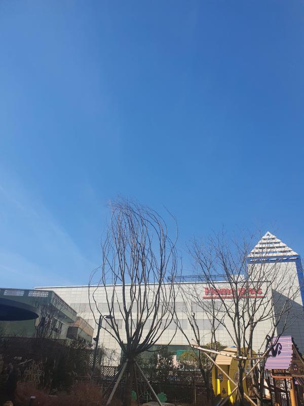 컨텐츠파일
