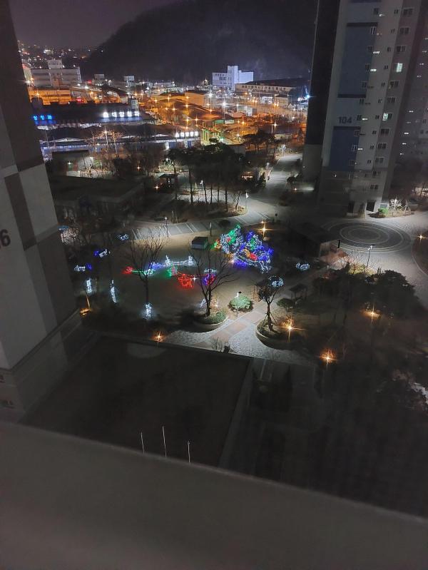 로이