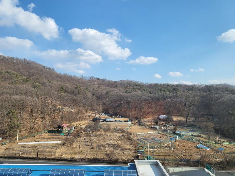 컨텐츠파일