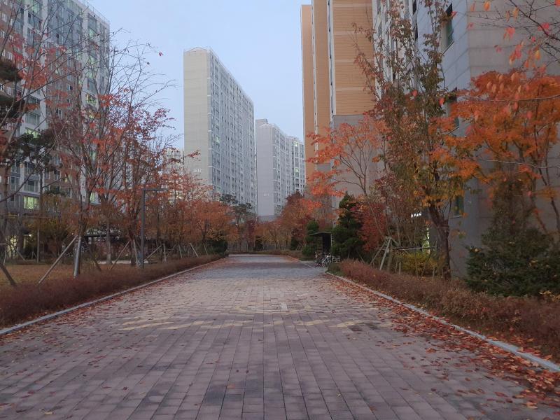 로타