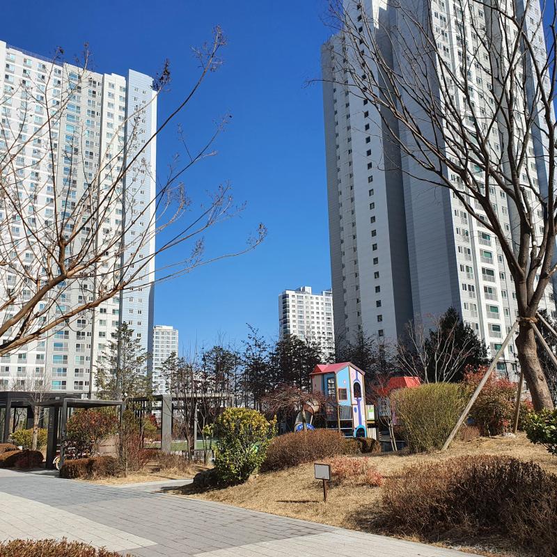 컨텐츠파일