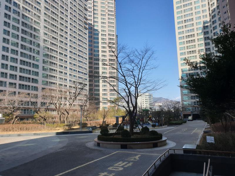 컨텐츠파일