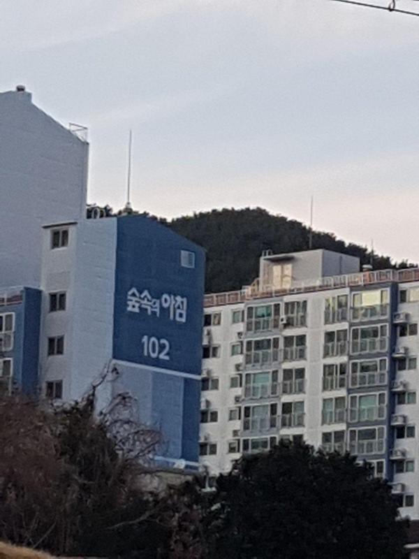 숲속의아침 시세, 가격, 매매, 전세