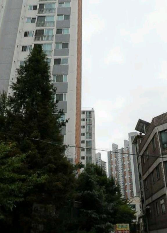 컨텐츠파일
