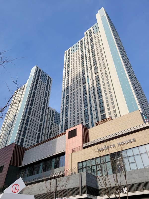 컨텐츠파일