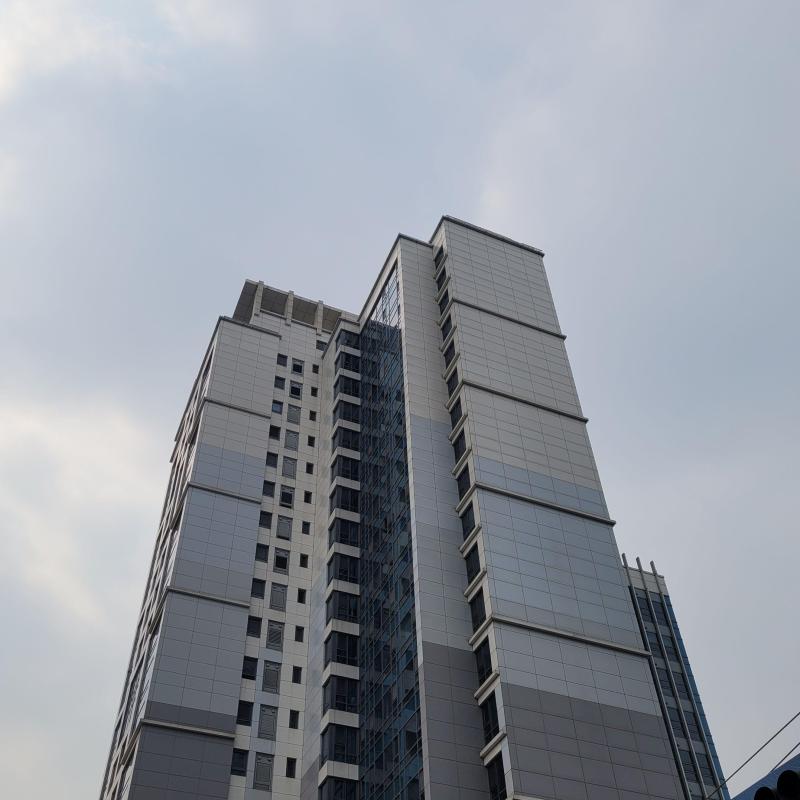 컨텐츠파일