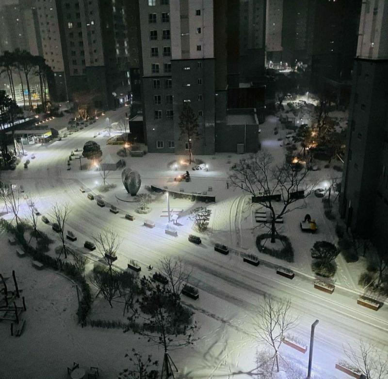 행복할꺼야