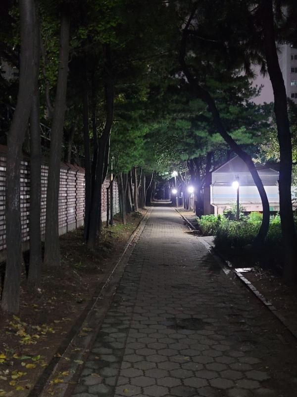 릴리