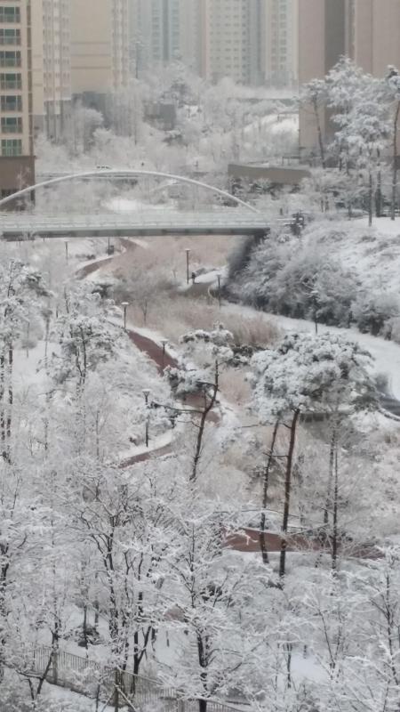 컨텐츠파일