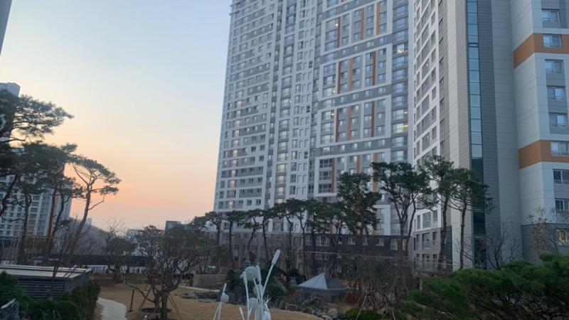 굿바이데이