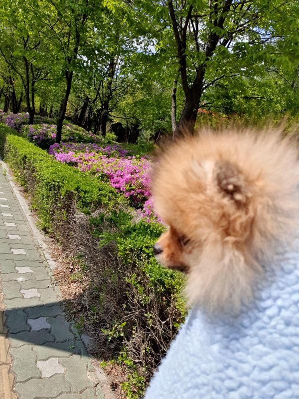 컨텐츠파일