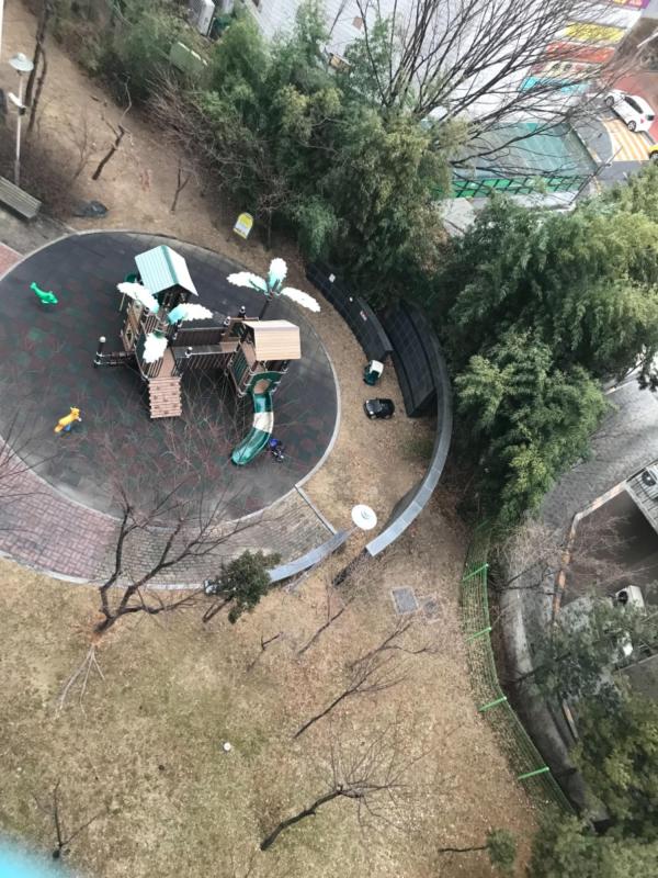 짱구