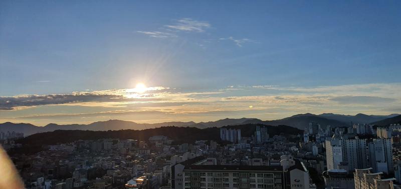 고박사