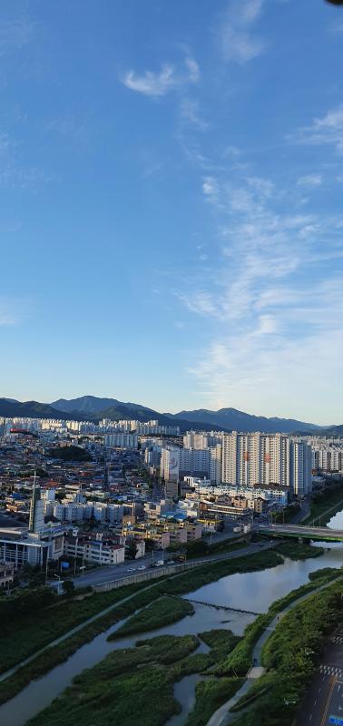 고박사