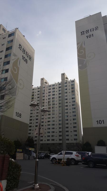 컨텐츠파일