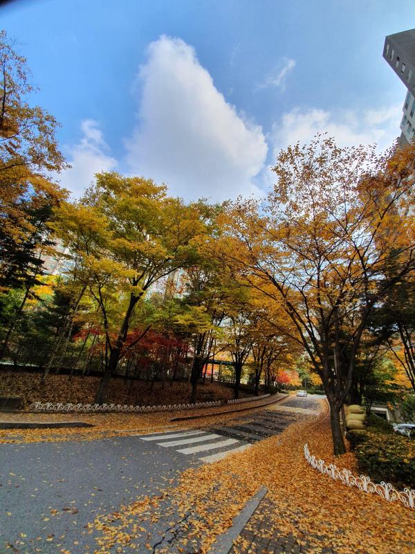 컨텐츠파일