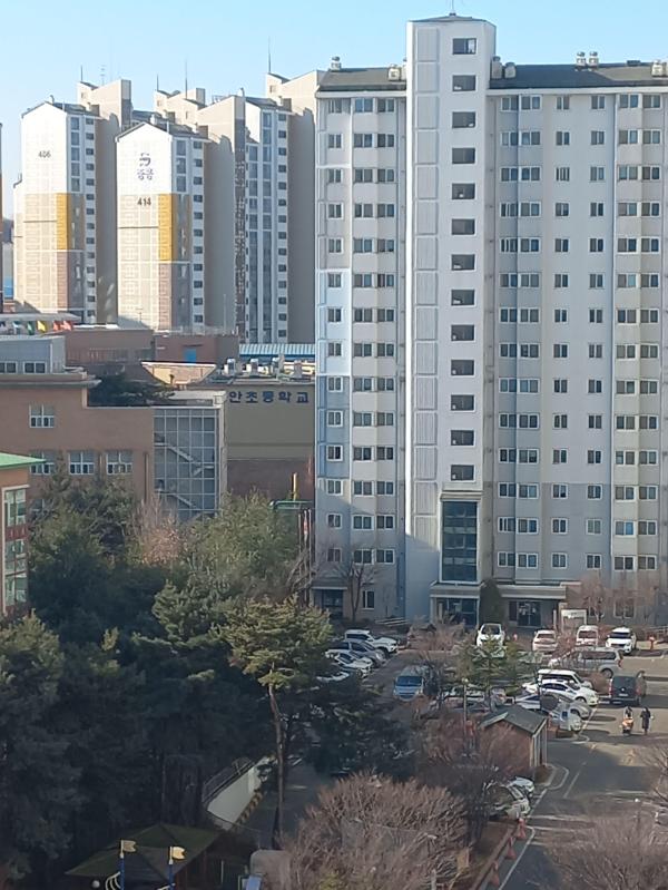 컨텐츠파일