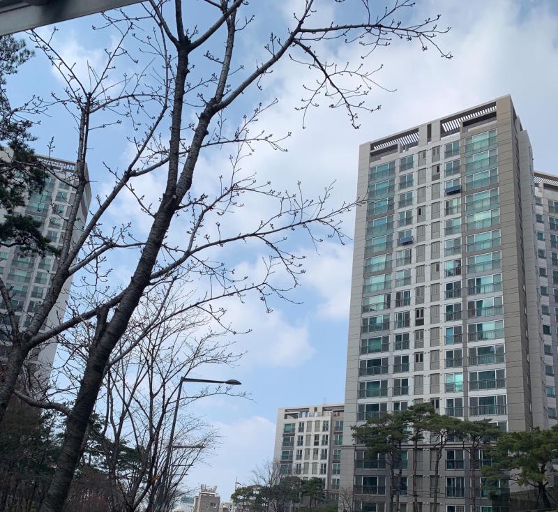 초코짱