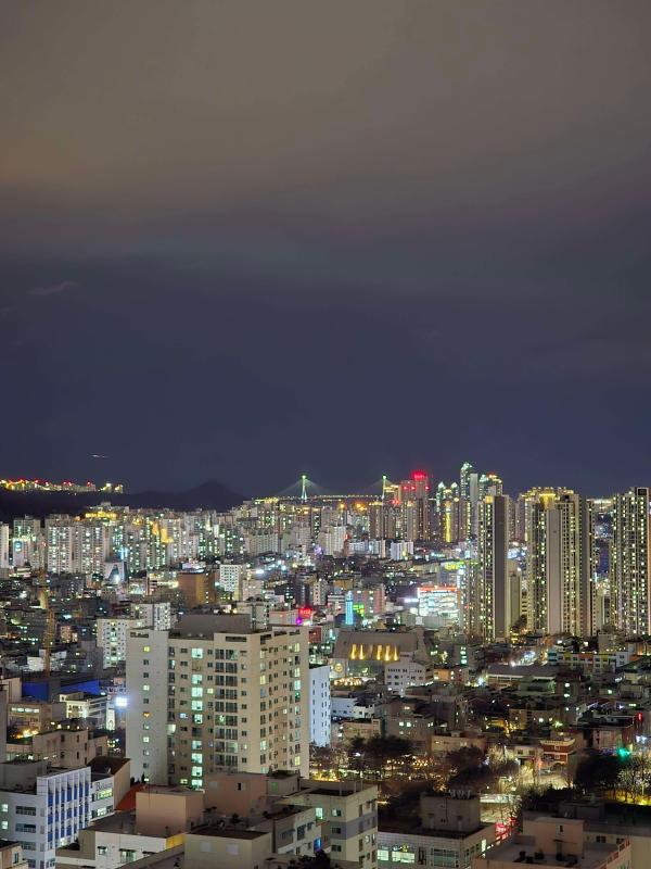 컨텐츠파일