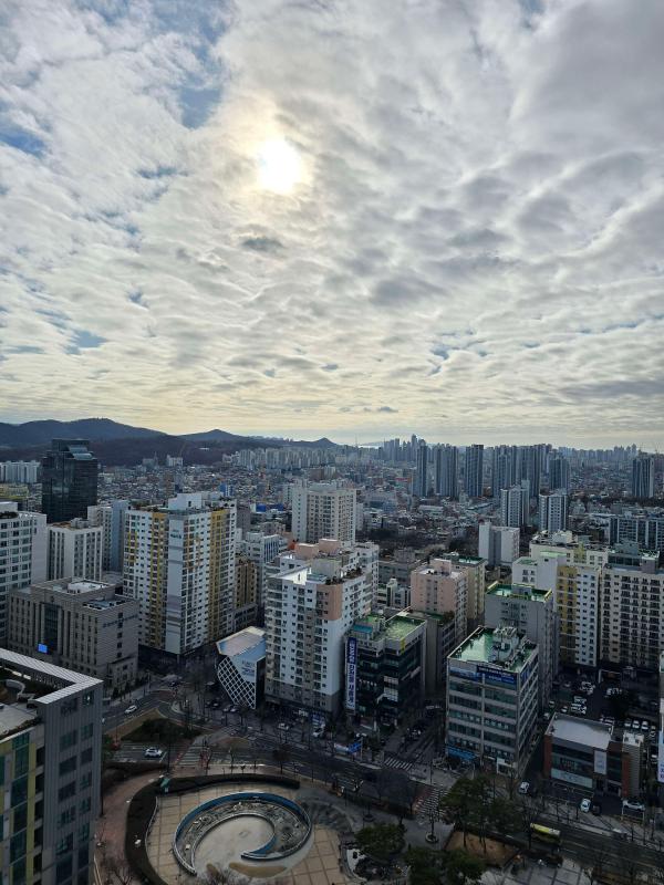컨텐츠파일