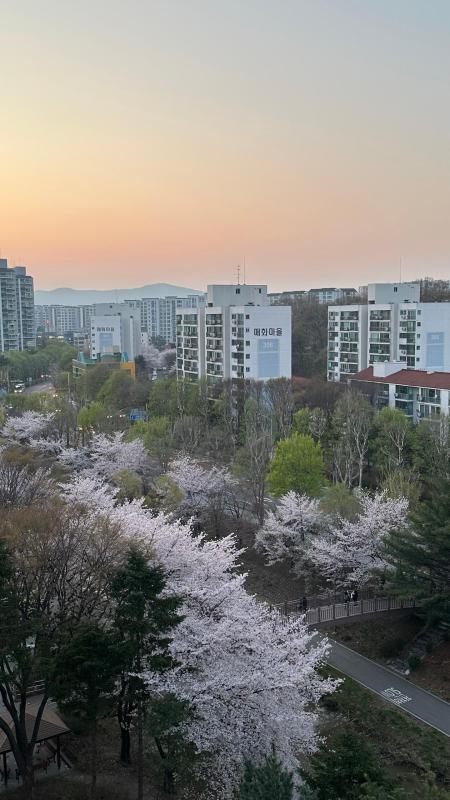 컨텐츠파일