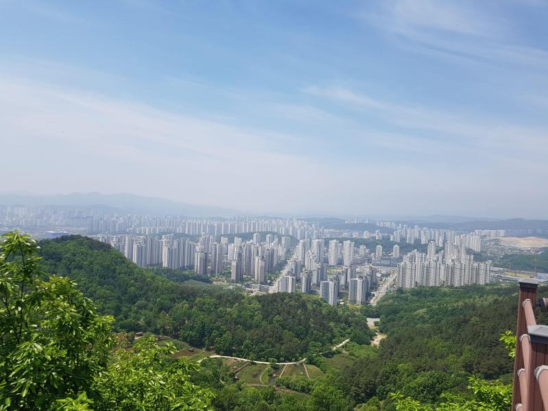 컨텐츠파일