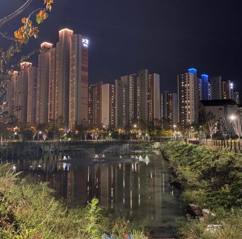 컨텐츠파일