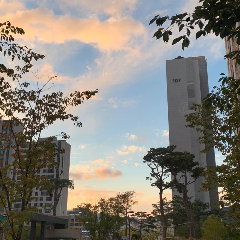 컨텐츠파일