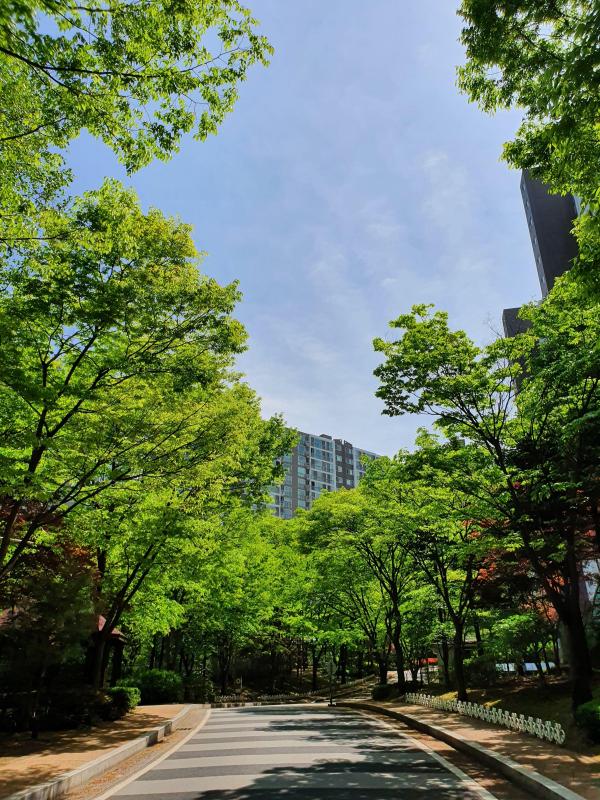 컨텐츠파일